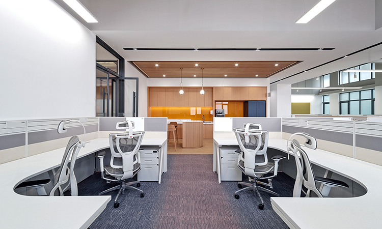 上海辦公室裝修流行配色方案