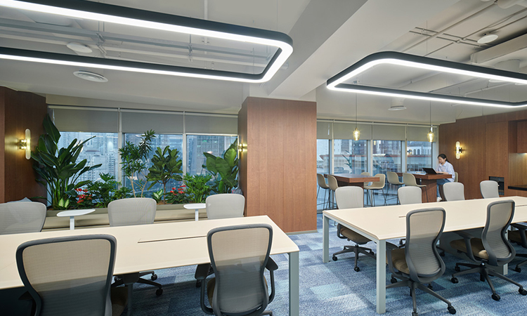 上海30人小型辦公室 上海30人小型辦公室