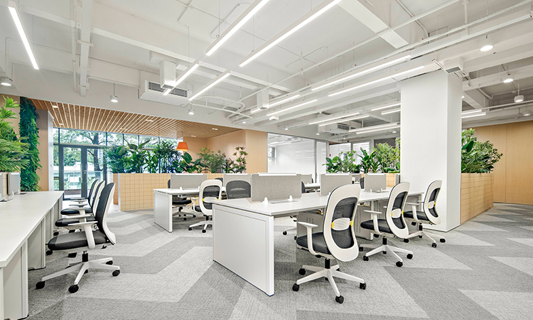 員工辦公區綠植景觀設計 員工辦公區綠植景觀設計