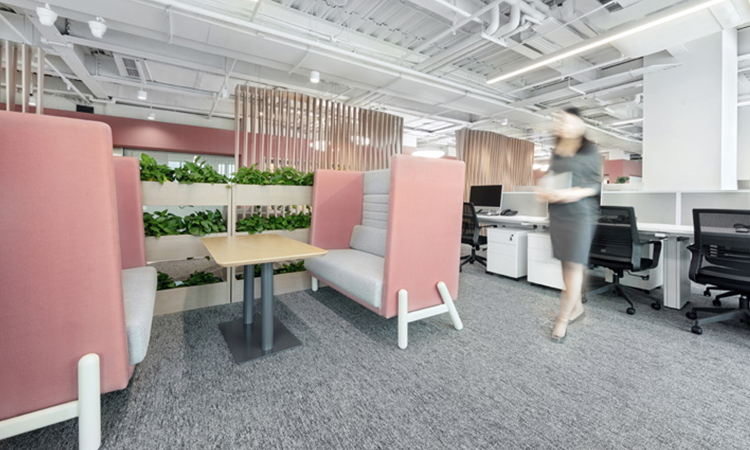 辦公室裝修公司的設計師更專業嗎？